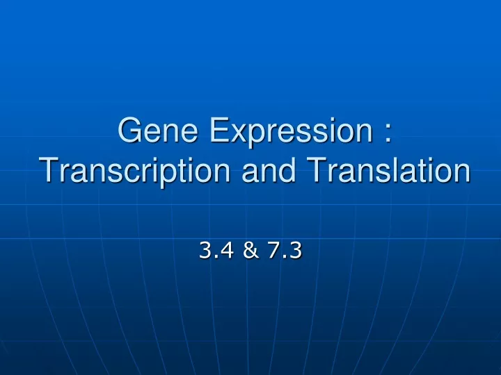 gene expression transcription and translation