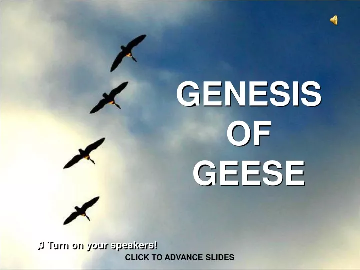 genesis of geese