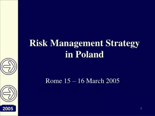 Risk Management Strategy in Poland