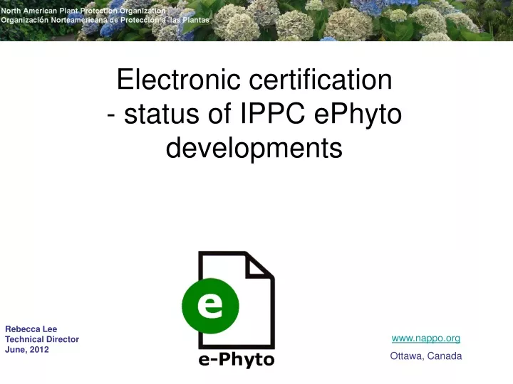 electronic certification status of ippc ephyto