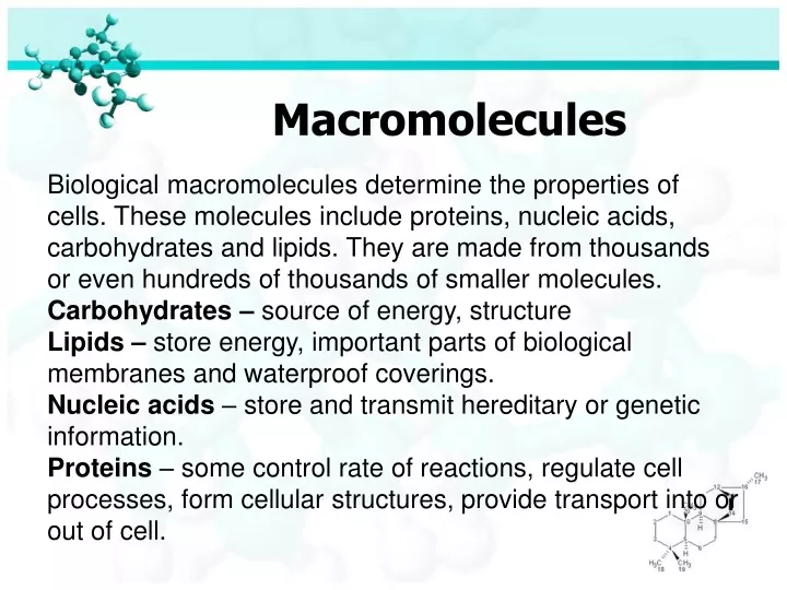 macromolecules