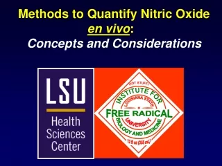 Methods to Quantify Nitric Oxide en vivo :   Concepts and Considerations