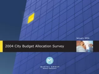 2004 City Budget Allocation Survey