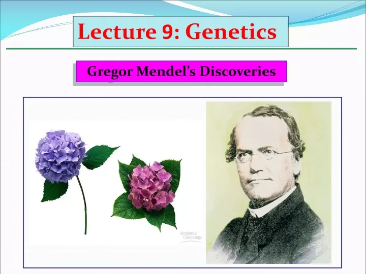 lecture 9 genetics