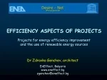 EFFICIENCY ASPECTS OF PROJECTS - slide 1