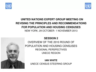 UNITED NATIONS EXPERT GROUP MEETING ON  REVISING THE PRINCIPLES AND RECOMMENDATIONS