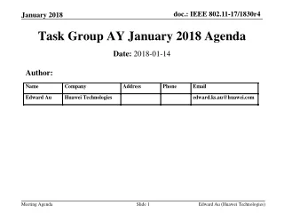 Task Group AY January 2018 Agenda