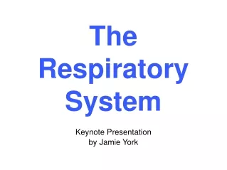 The  Respiratory  System