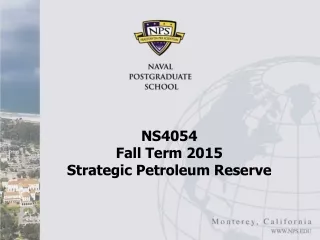 NS4054  Fall Term 2015 Strategic Petroleum Reserve