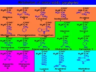 Metabolism of amino acids, porphyrins