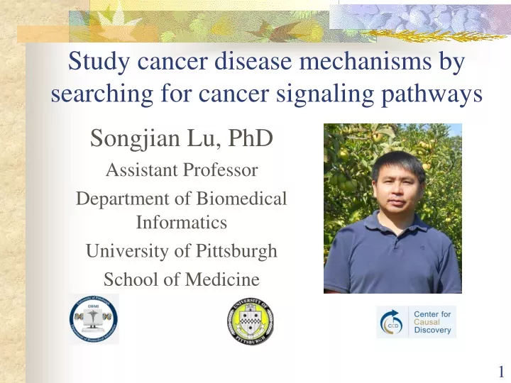 study cancer disease mechanisms by searching for cancer signaling pathways