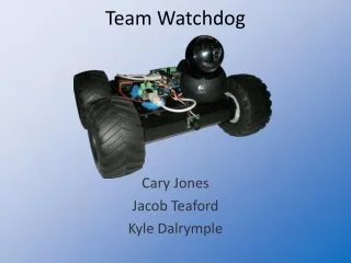 Team Watchdog