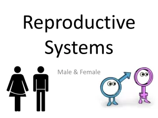 Reproductive Systems