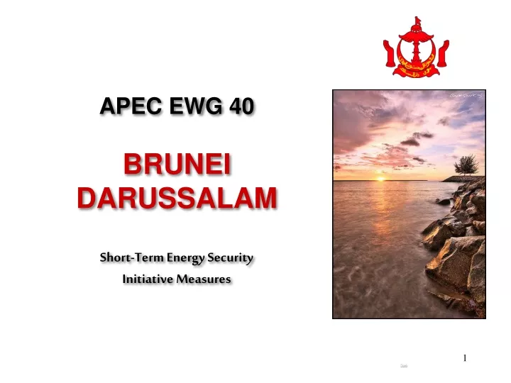 apec ewg 40 brunei darussalam short term energy