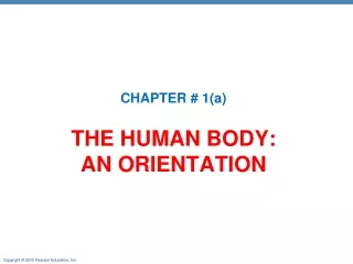 THE HUMAN BODY:  AN ORIENTATION