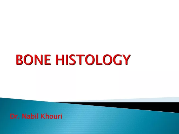 bone histology