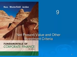 Net Present Value and Other Investment Criteria