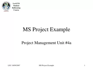 MS Project Example