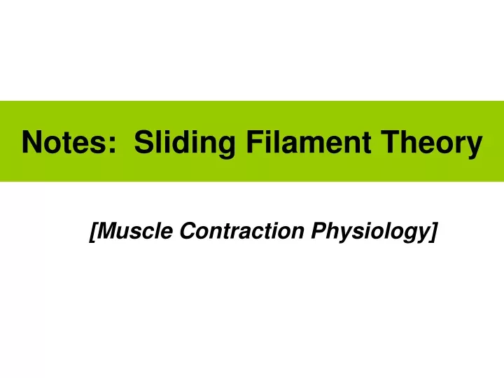 notes sliding filament theory