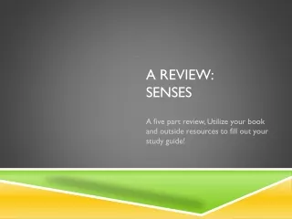 A Review: Senses