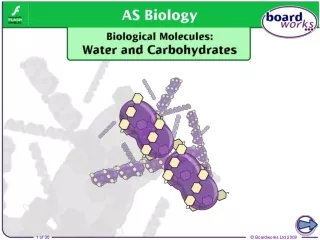 Structure of water