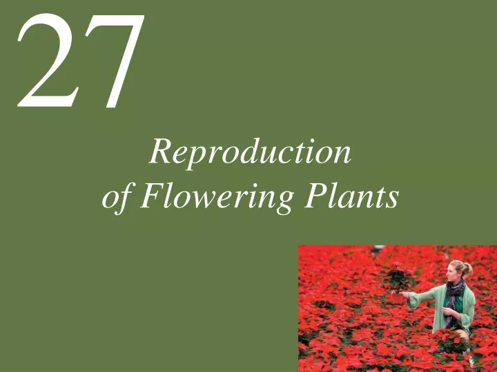 reproduction of flowering plants