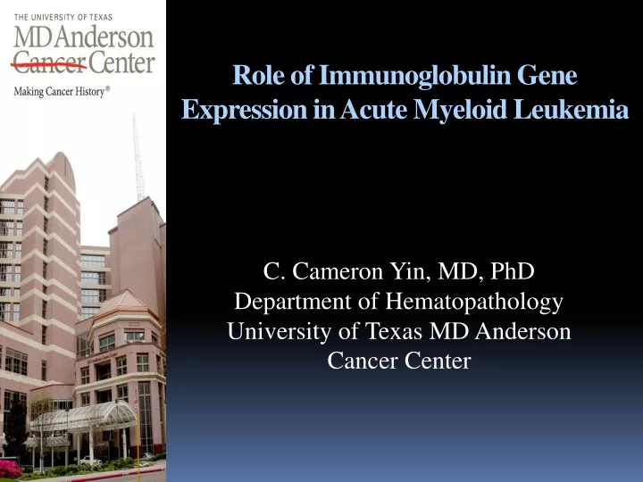 role of immunoglobulin gene expression in acute myeloid leukemia