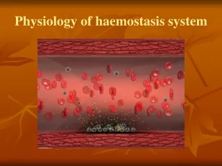 Physiology of haemostasis system