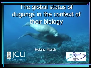 The global status of dugongs in the context of their biology