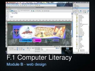 F.1 Computer Literacy