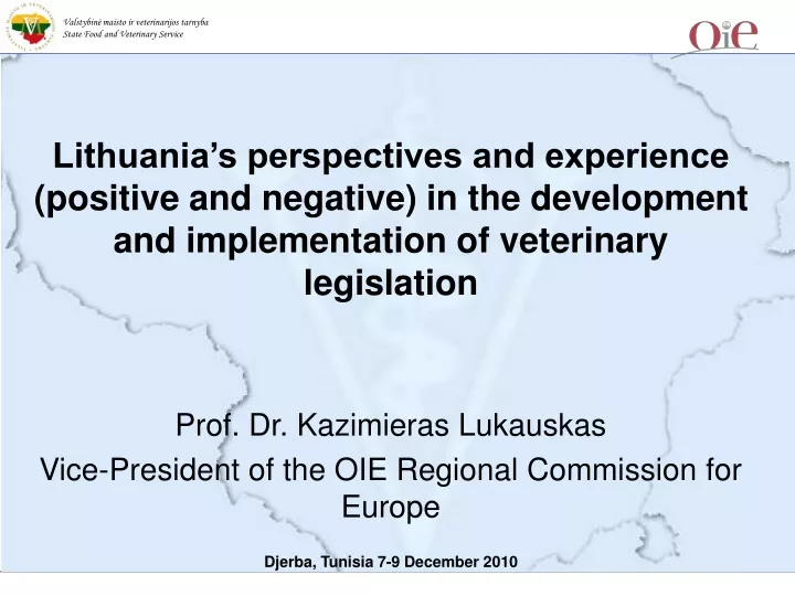 lithuania s perspectives and experience positive