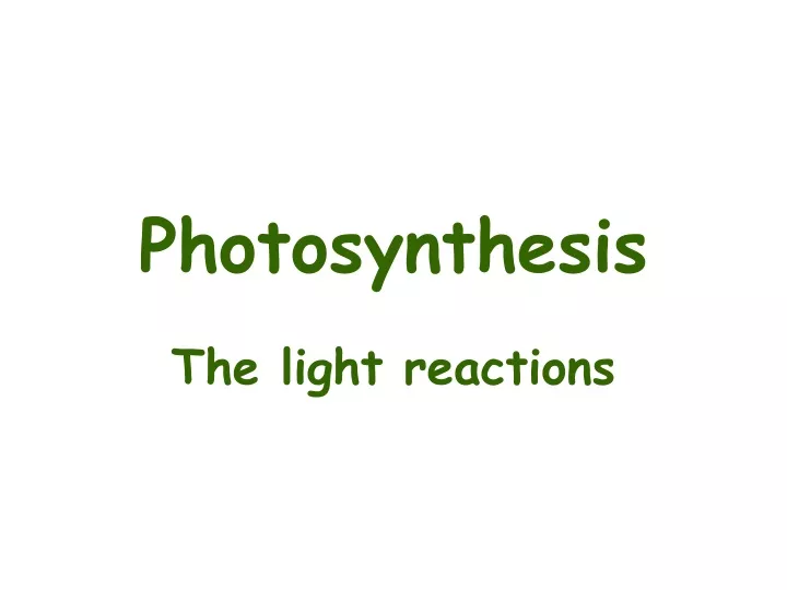 photosynthesis