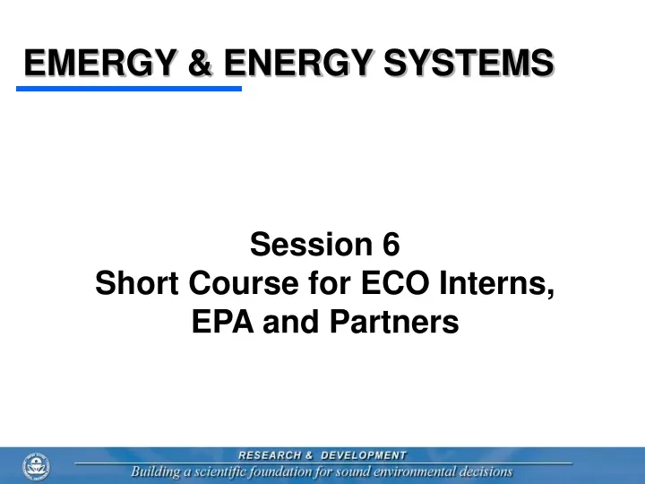 emergy energy systems