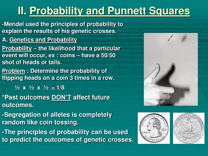 ii probability and punnett squares