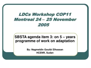 LDCs Workshop COP11 Montreal 24  –  25 November 2005
