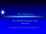 SQL Statement Optimization: The Optimizer's Job and Execution Plans - slide 1