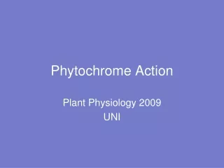 Phytochrome Action
