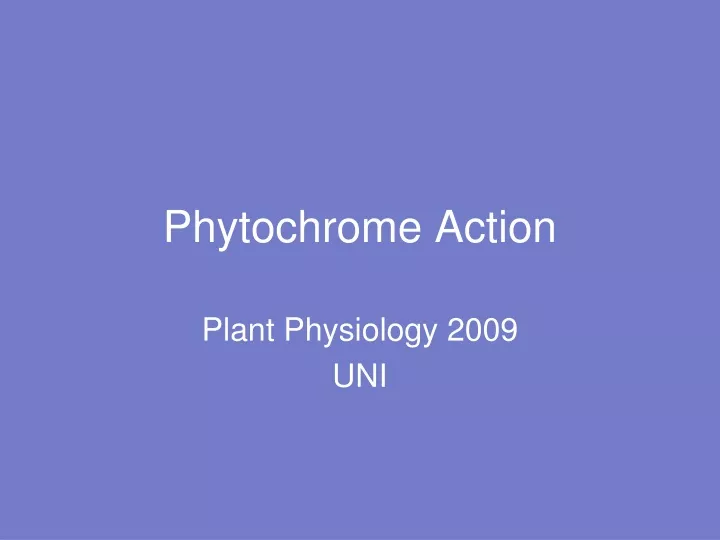 phytochrome action