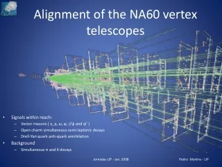 Alignment of the NA60 vertex telescopes