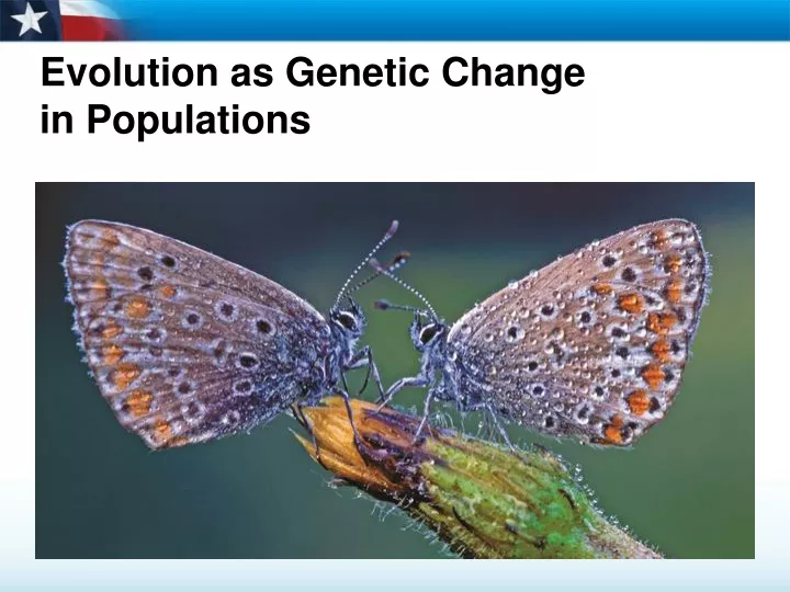 evolution as genetic change in populations