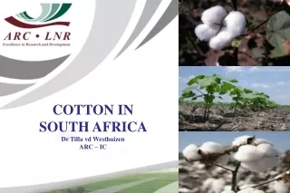 COTTON IN SOUTH AFRICA  Dr Tilla  vd  Westhuizen ARC – IC