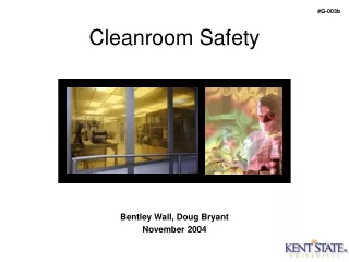 Cleanroom Safety