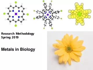 Research Methodology Spring 2019 Metals in Biology