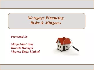 Mortgage Financing  Risks &amp; Mitigates