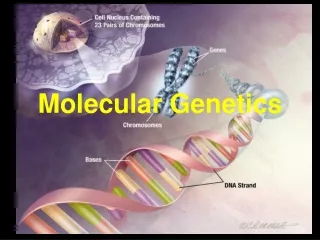 Molecular Genetics