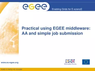 Practical using EGEE middleware:  AA and simple job submission