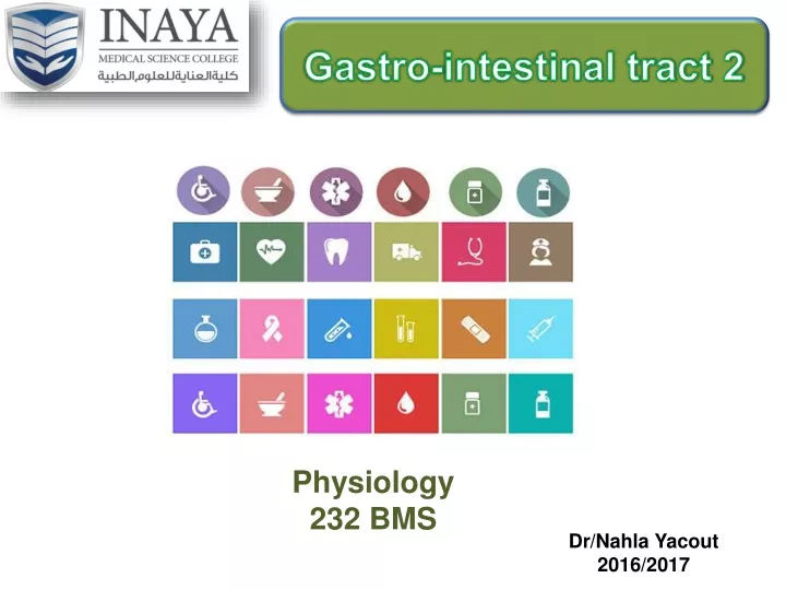 gastro intestinal tract 2
