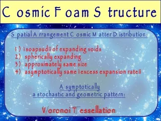 Cosmic Foam Structure