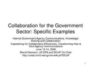 Collaboration for the Government Sector: Specific Examples