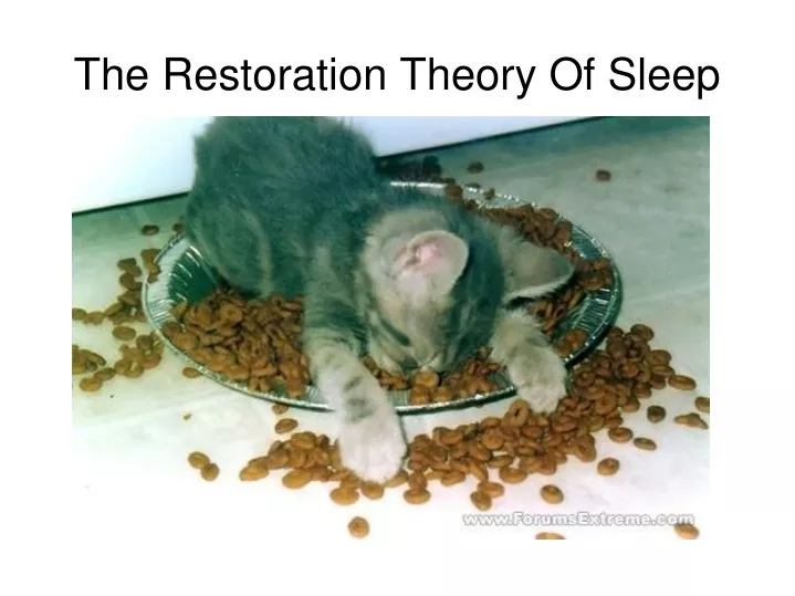 the restoration theory of sleep